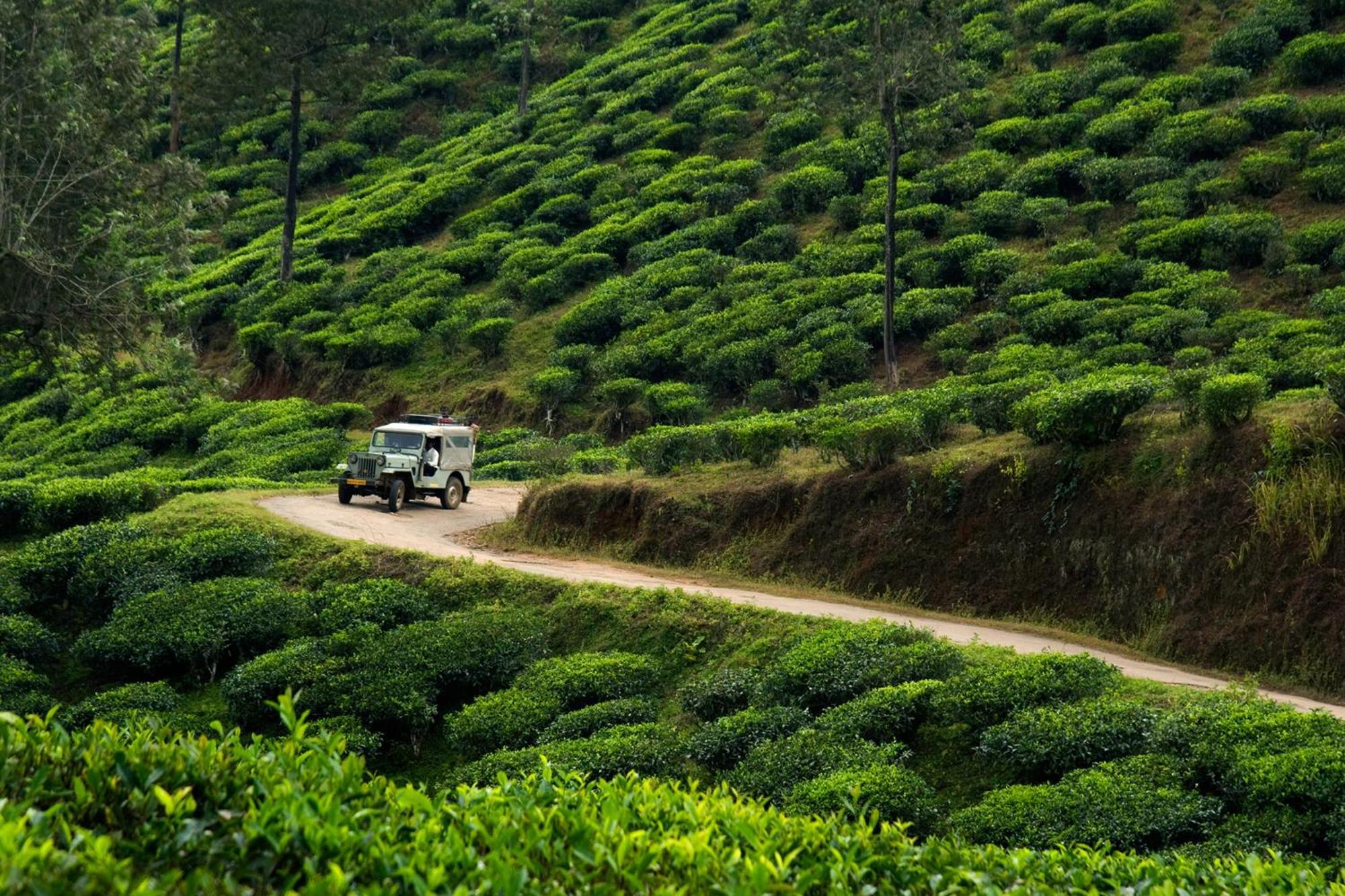 Spicegreen Homestay,Thekkady Ngoại thất bức ảnh