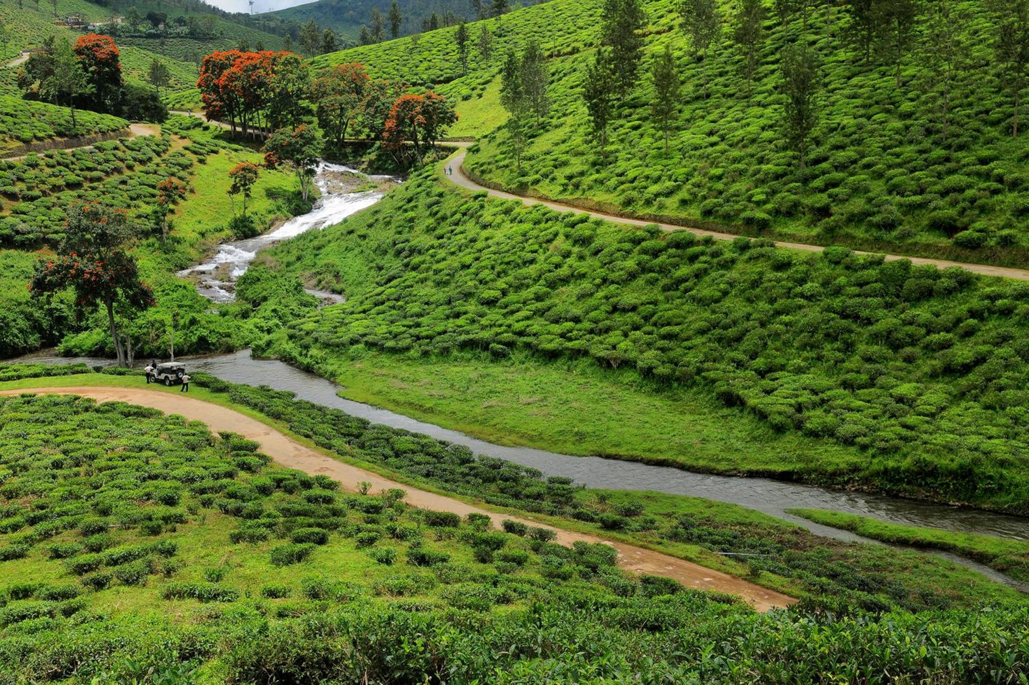 Spicegreen Homestay,Thekkady Ngoại thất bức ảnh