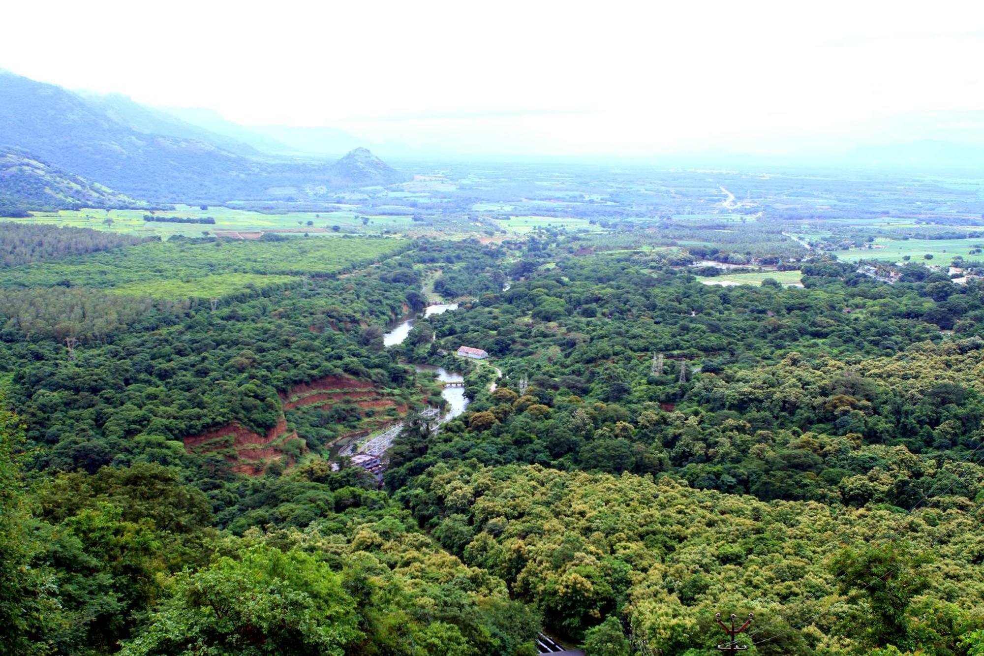 Spicegreen Homestay,Thekkady Ngoại thất bức ảnh