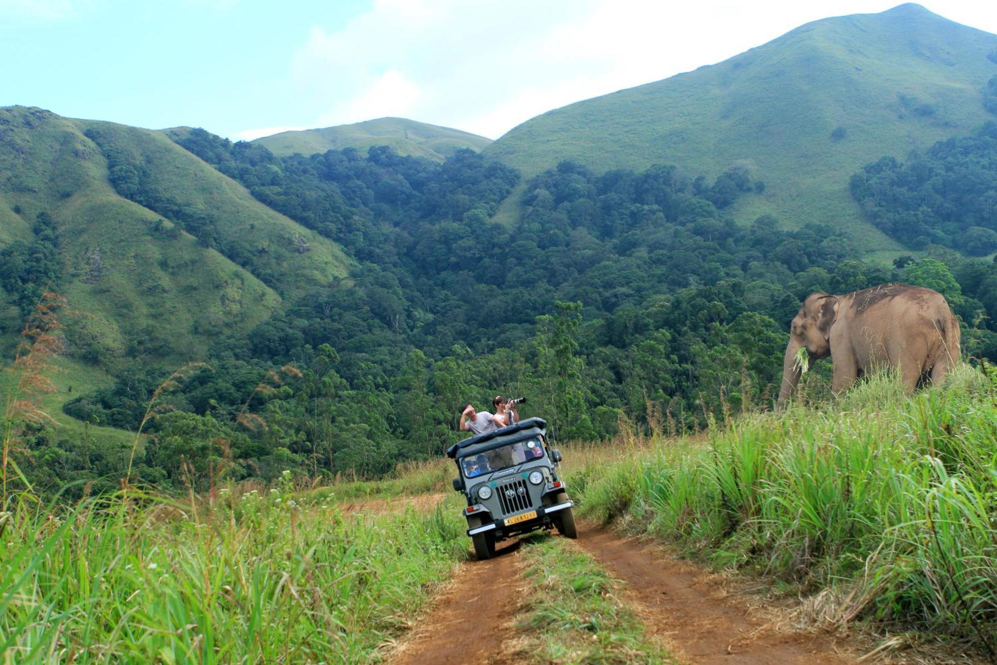 Spicegreen Homestay,Thekkady Ngoại thất bức ảnh